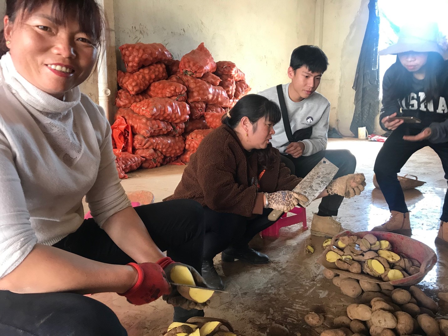 Women cutting the seed potatoes..jpg